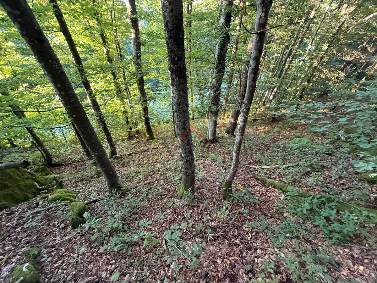 LOKVE - Terreno edificabile, 3072 m2