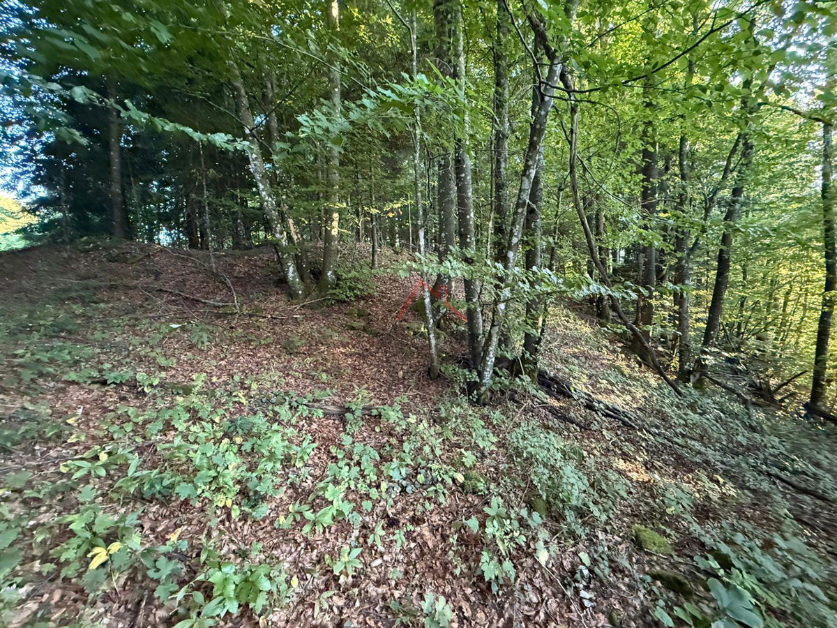 LOKVE - Terreno edificabile, 3072 m2