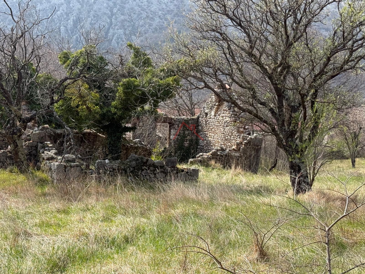 BRIBIR - Rudere in pietra e terreno edificabile