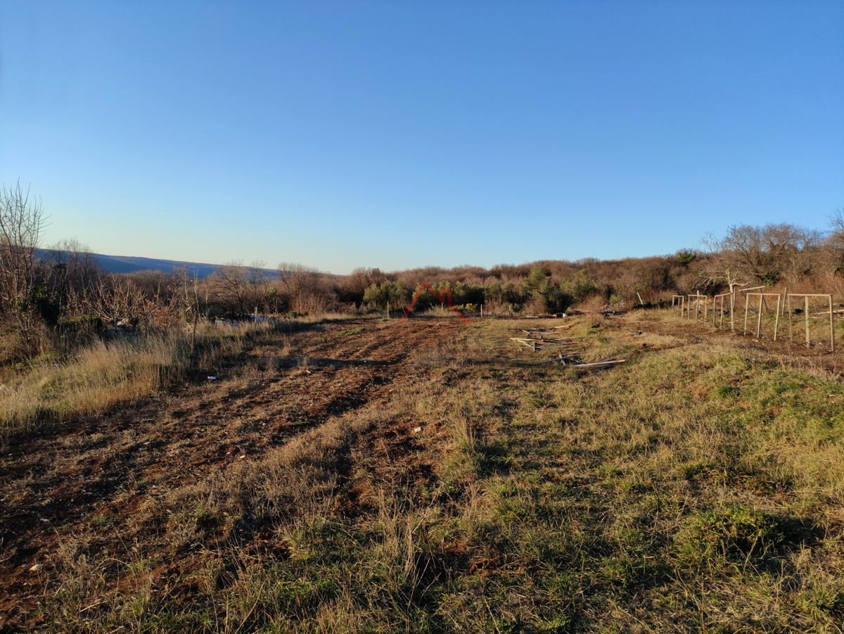 Sveti Lovreč Labinski - bellissimo terreno edificabile con vista mare