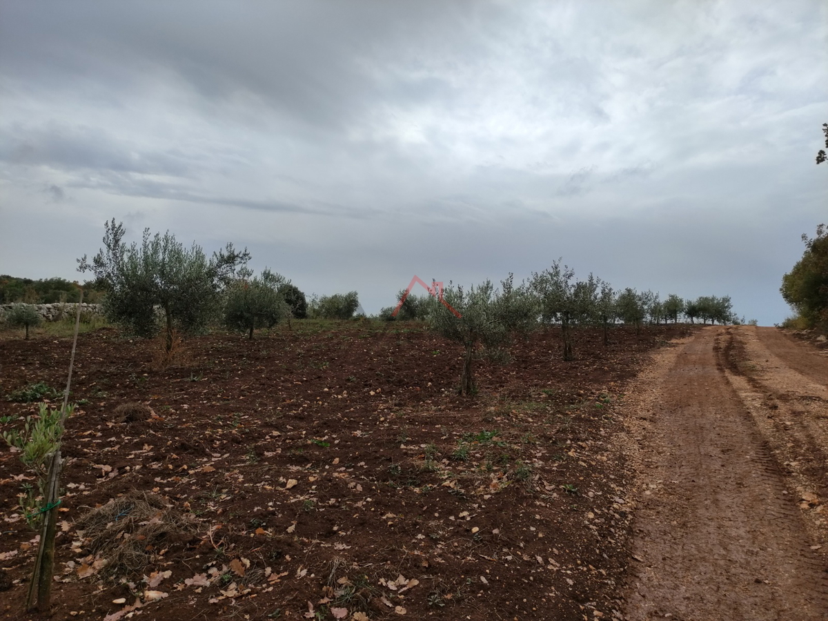 ROVINJ - terreno con casa segnalata