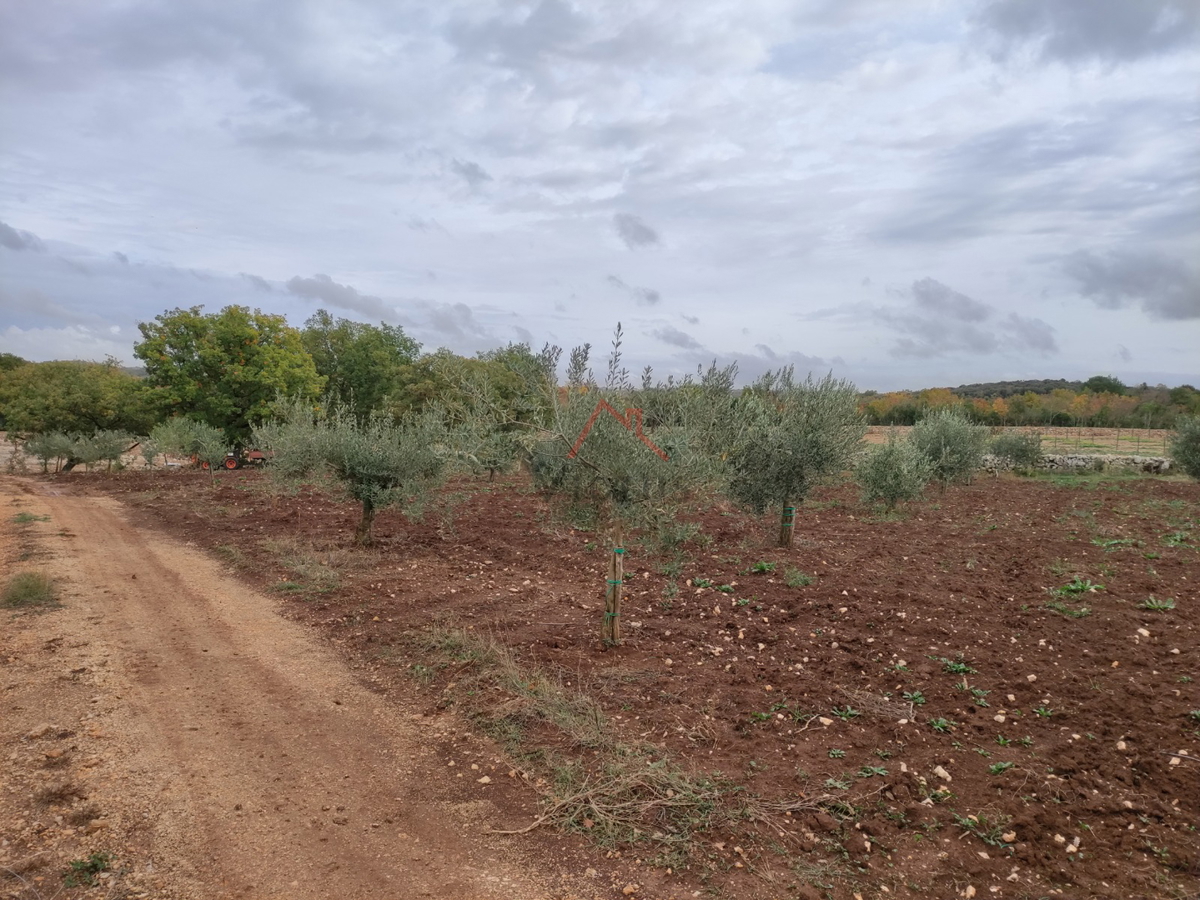 ROVINJ - terreno con casa segnalata