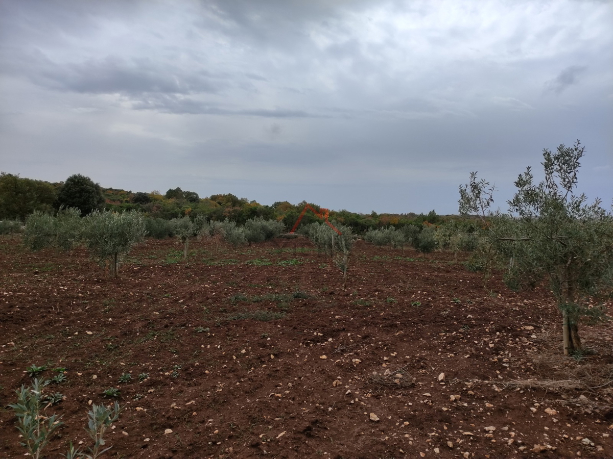 ROVINJ - terreno con casa segnalata