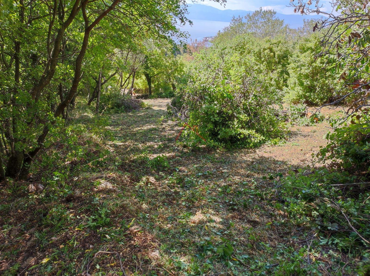 HRELJIN - Rudere con vista mare