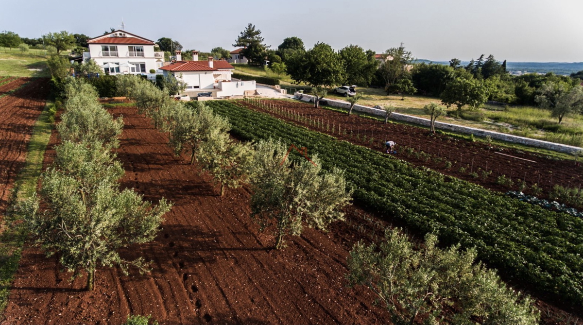 ROVIGNO - villa con piscina e ampio giardino