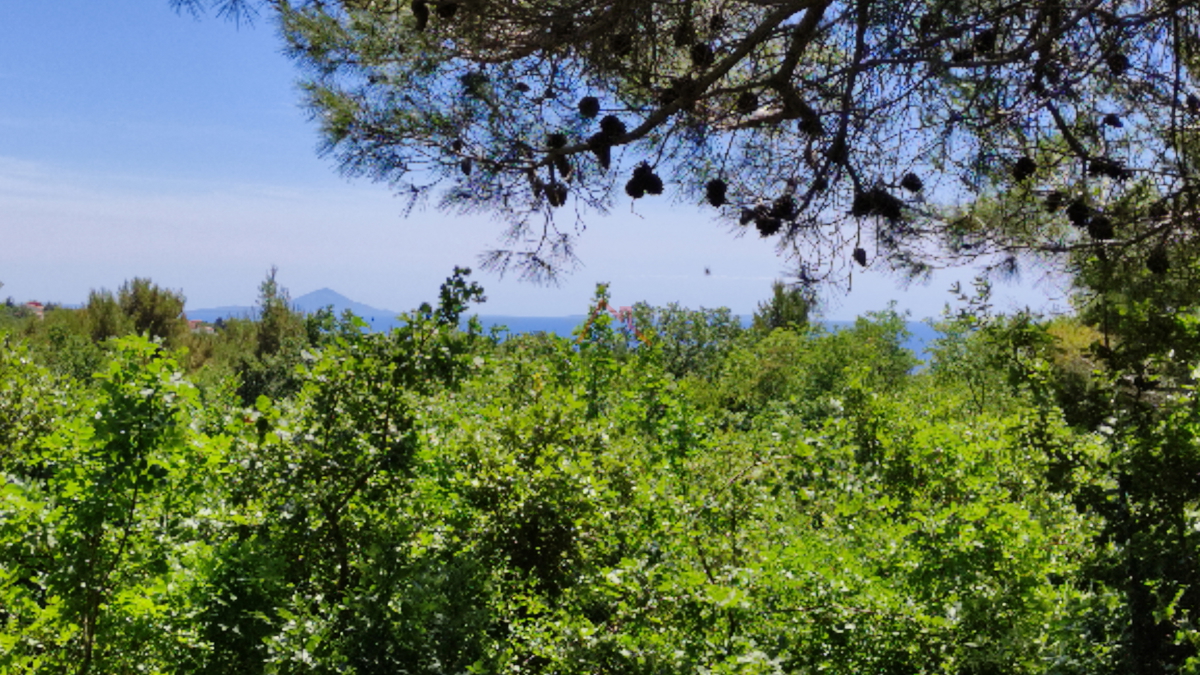 SVETI LOVREČ LABINSKI - terreno con vista mare e permesso di costruire