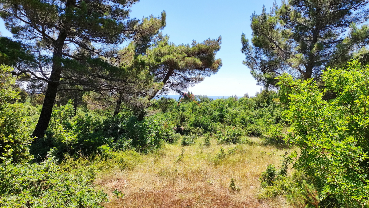 SVETI LOVREČ LABINSKI - terreno con vista mare e permesso di costruire