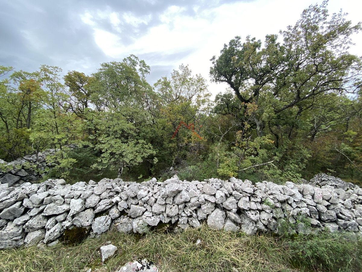 ŠMRIKA - Foresta / Terreno agricolo, 5466 m2