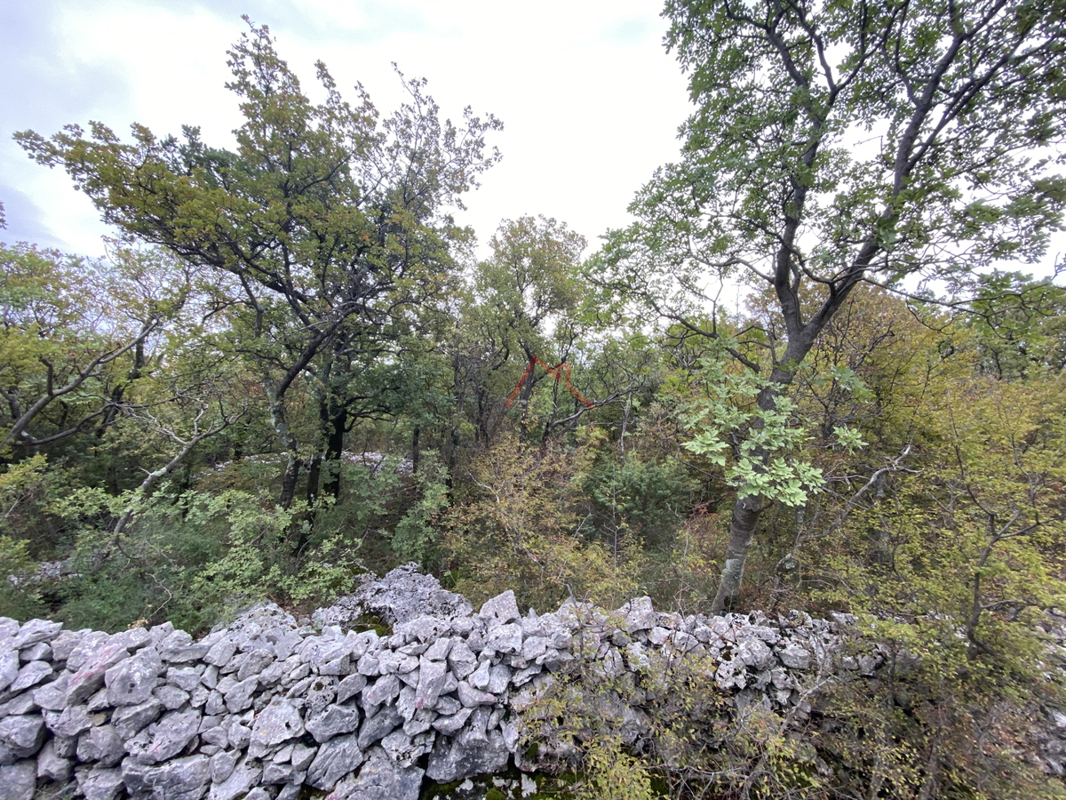 ŠMRIKA - Foresta / Terreno agricolo, 5466 m2