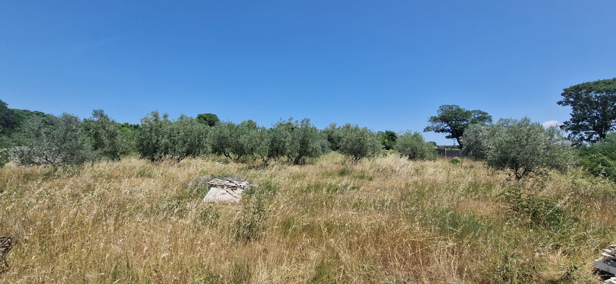 Zara, Briševo, terreno edificabile (1108 m2)