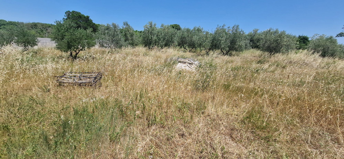 Zara, Briševo, terreno edificabile (1108 m2)