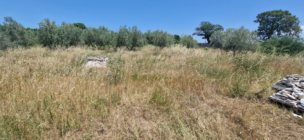 Zara, Briševo, terreno edificabile (1108 m2)