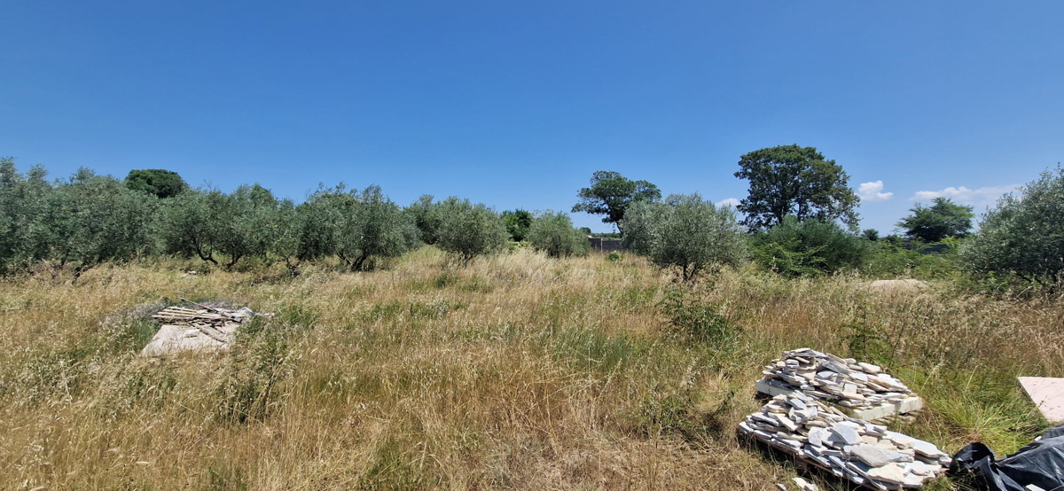 Zara, Briševo, terreno edificabile (1108 m2)