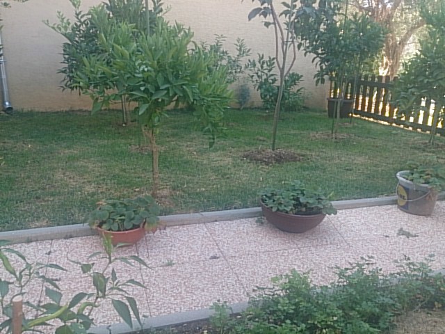 Sveti Filip i Jakov, ottima casa con 7 appartamenti (291 m2) e splendida vista sul mare