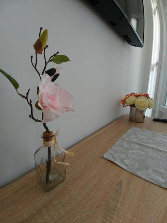 Privlaka, bella casa con tre appartamenti (123 m2), a 200 metri dal mare