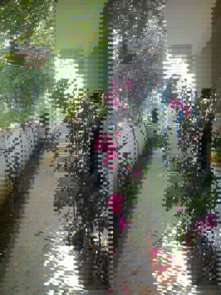 Vir, casa con 4 appartamenti (312m2), 250m dal mare, lato sud!!!