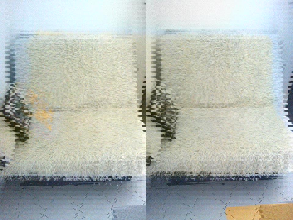 Vir, casa con 4 appartamenti (312m2), 250m dal mare, lato sud!!!