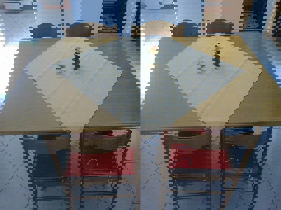 Vir, casa con 4 appartamenti (312m2), 250m dal mare, lato sud!!!