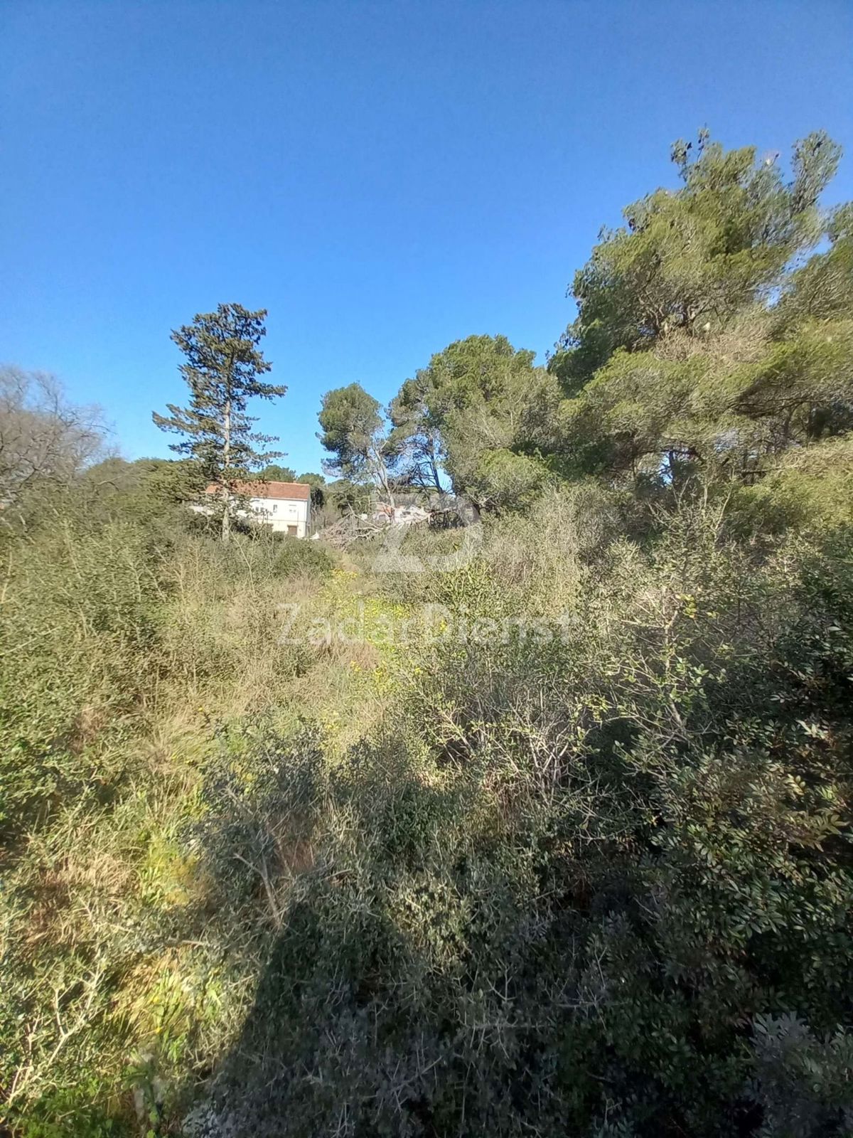 Terreno di 1756 m2 a Sv. Filip i Jakov