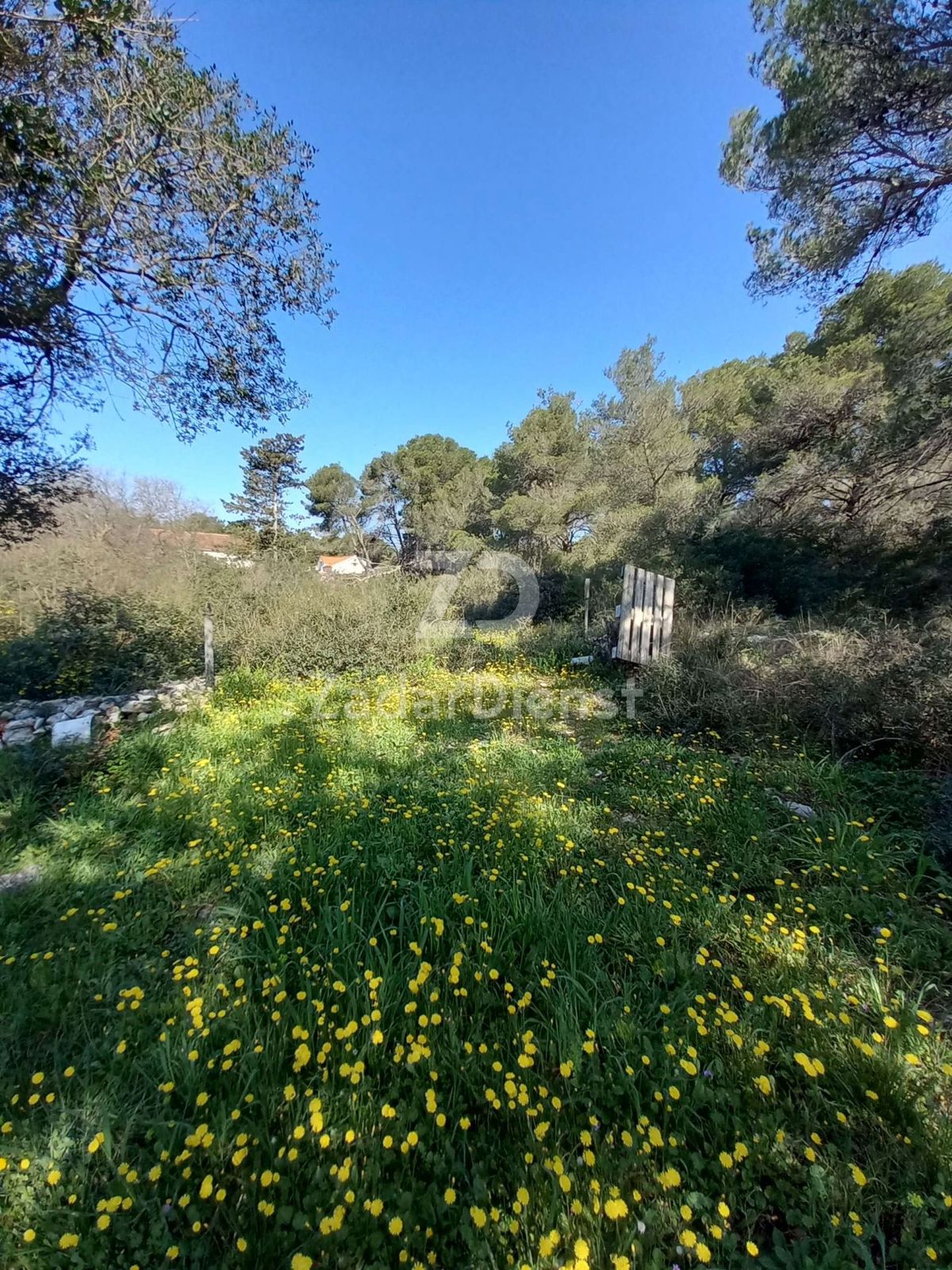 Terreno di 1756 m2 a Sv. Filip i Jakov