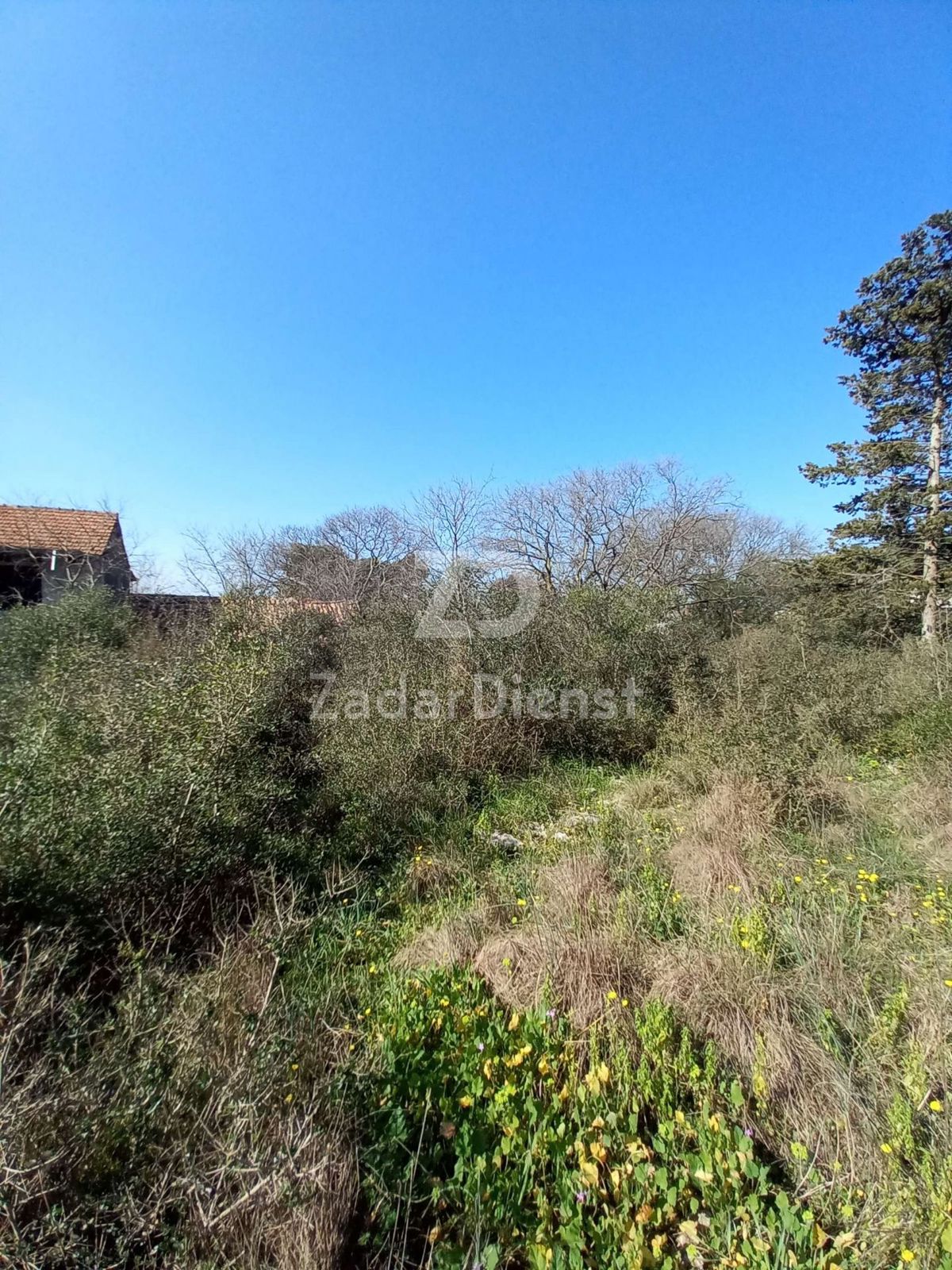 Terreno di 1756 m2 a Sv. Filip i Jakov