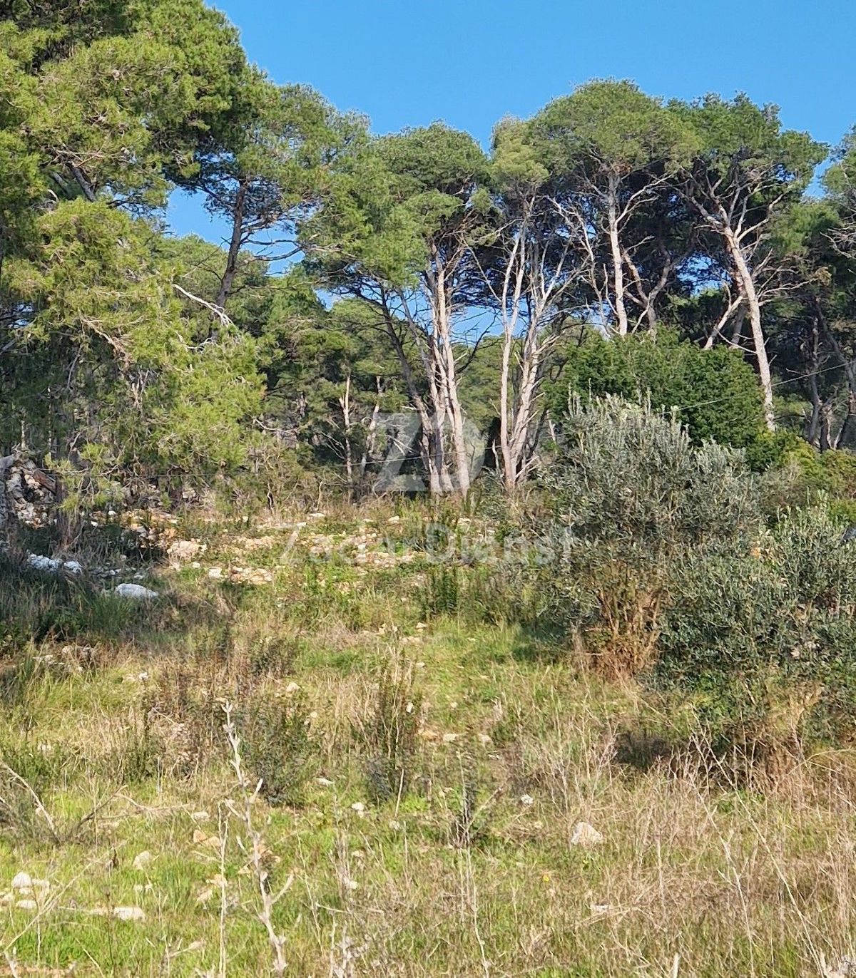 Terreno Molat, Zadar - Okolica, 1.089m2