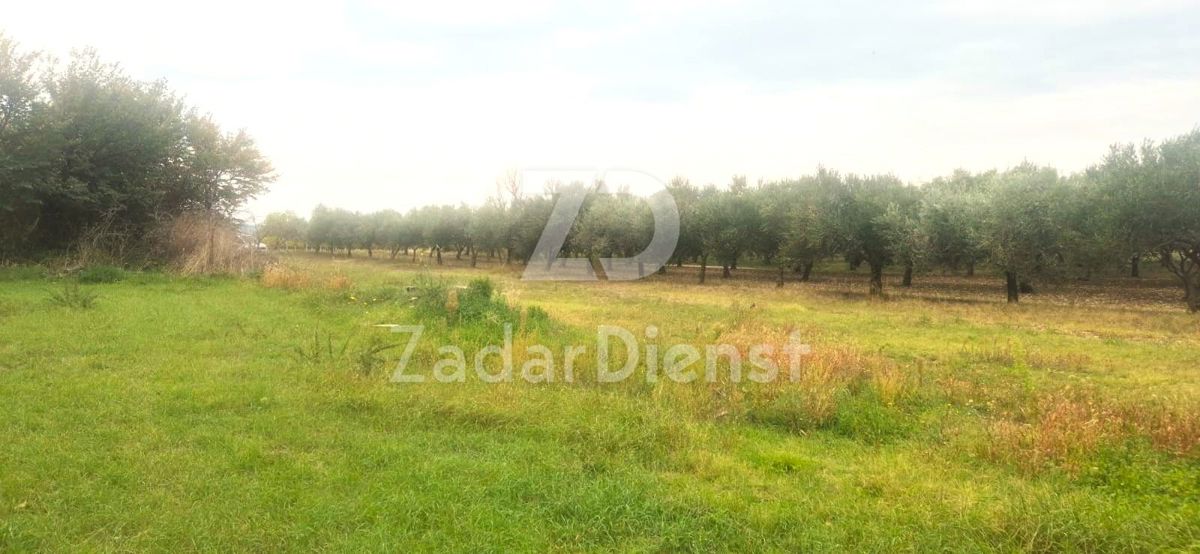 Terreno in eccellente posizione di 1410 m2 a Zemunik