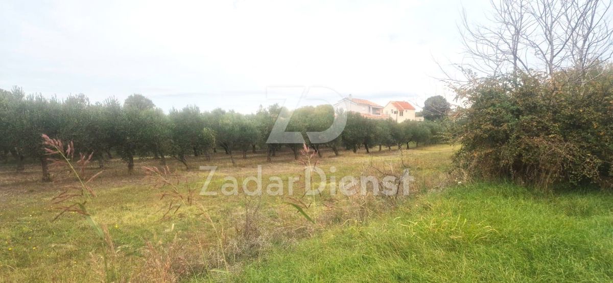 Terreno in eccellente posizione di 1410 m2 a Zemunik