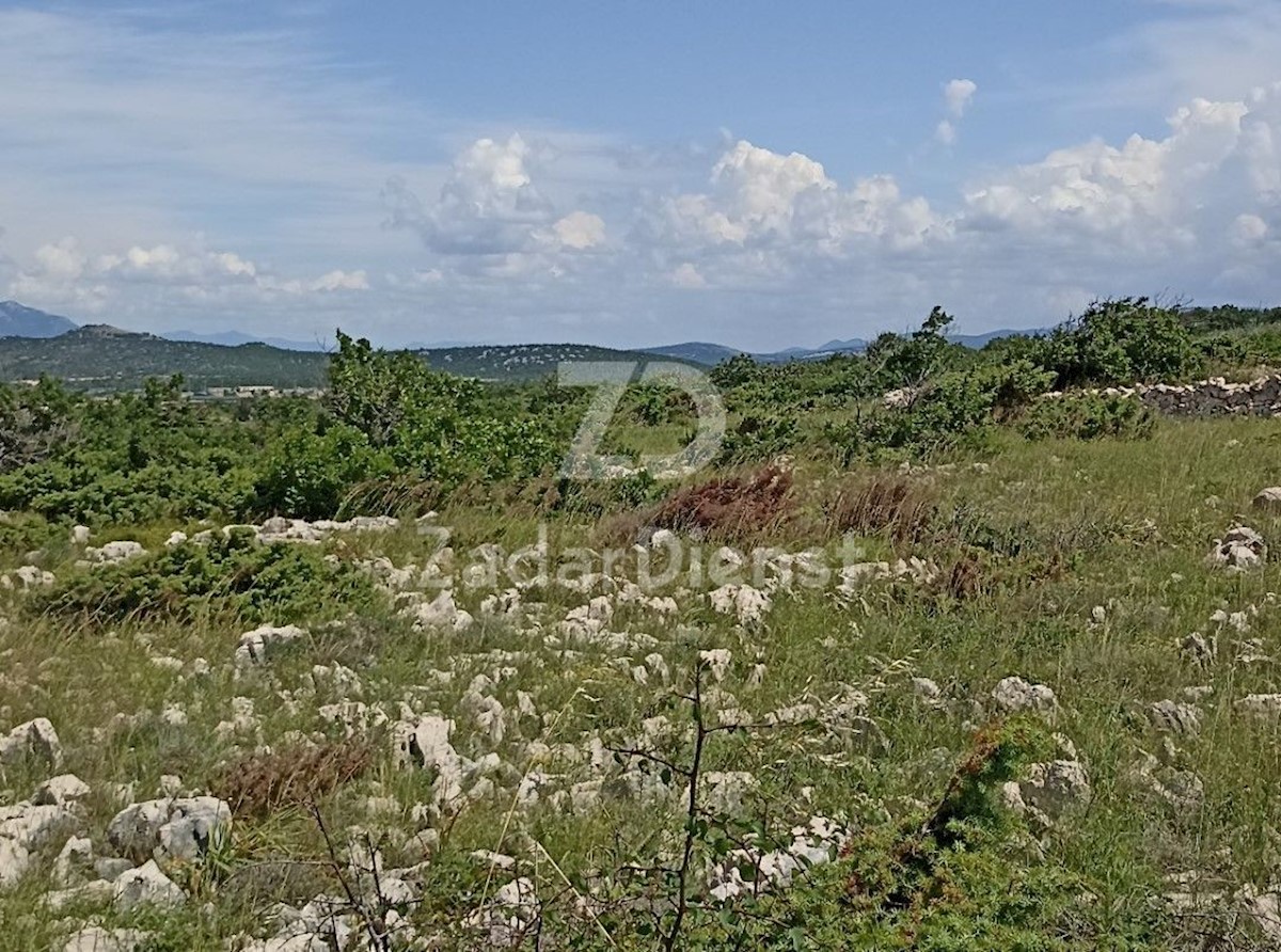 Terreno Ždrilo, Posedarje, 6.106m2