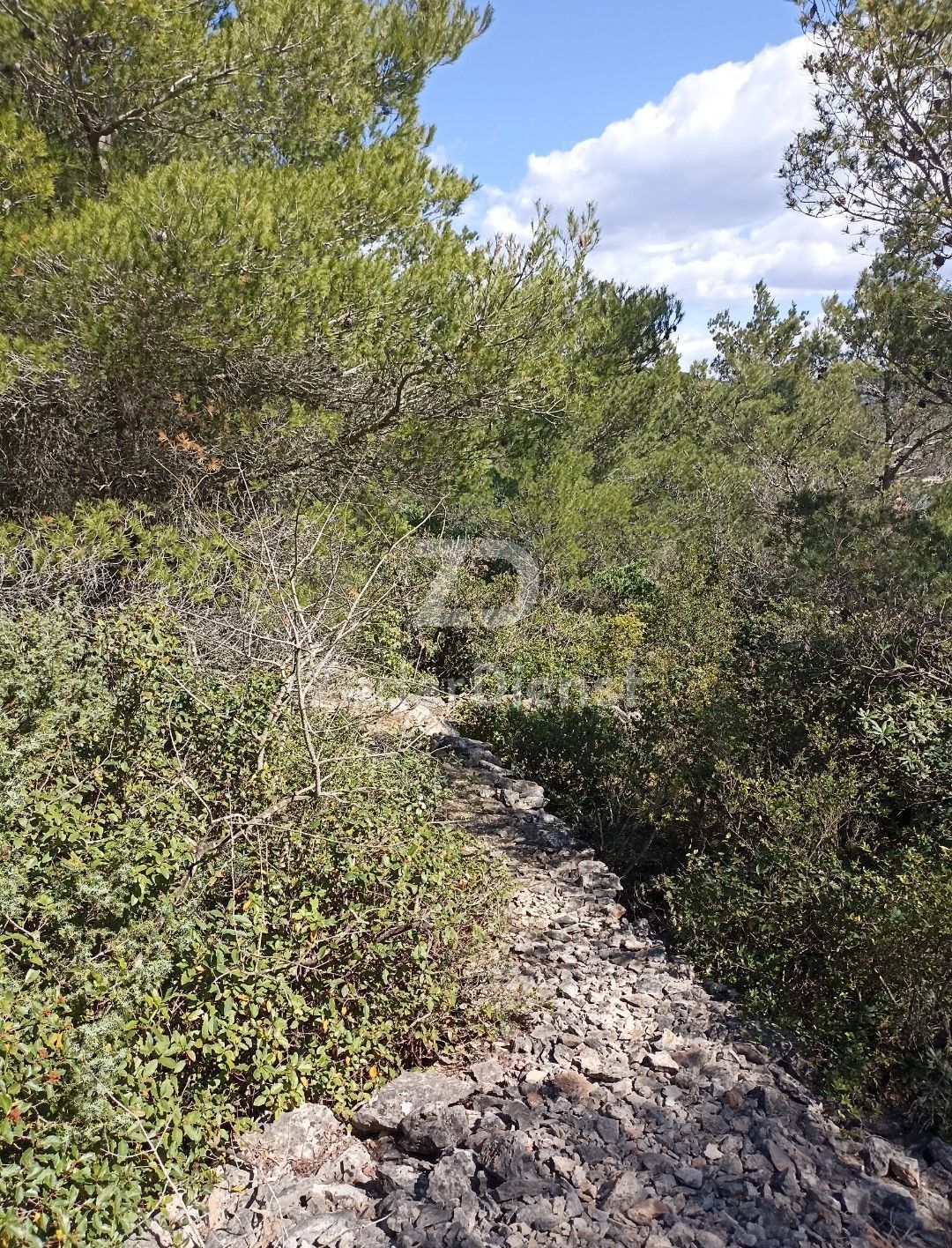 Terreno di 4451 m2, a 150 m dal mare - Mali Iž