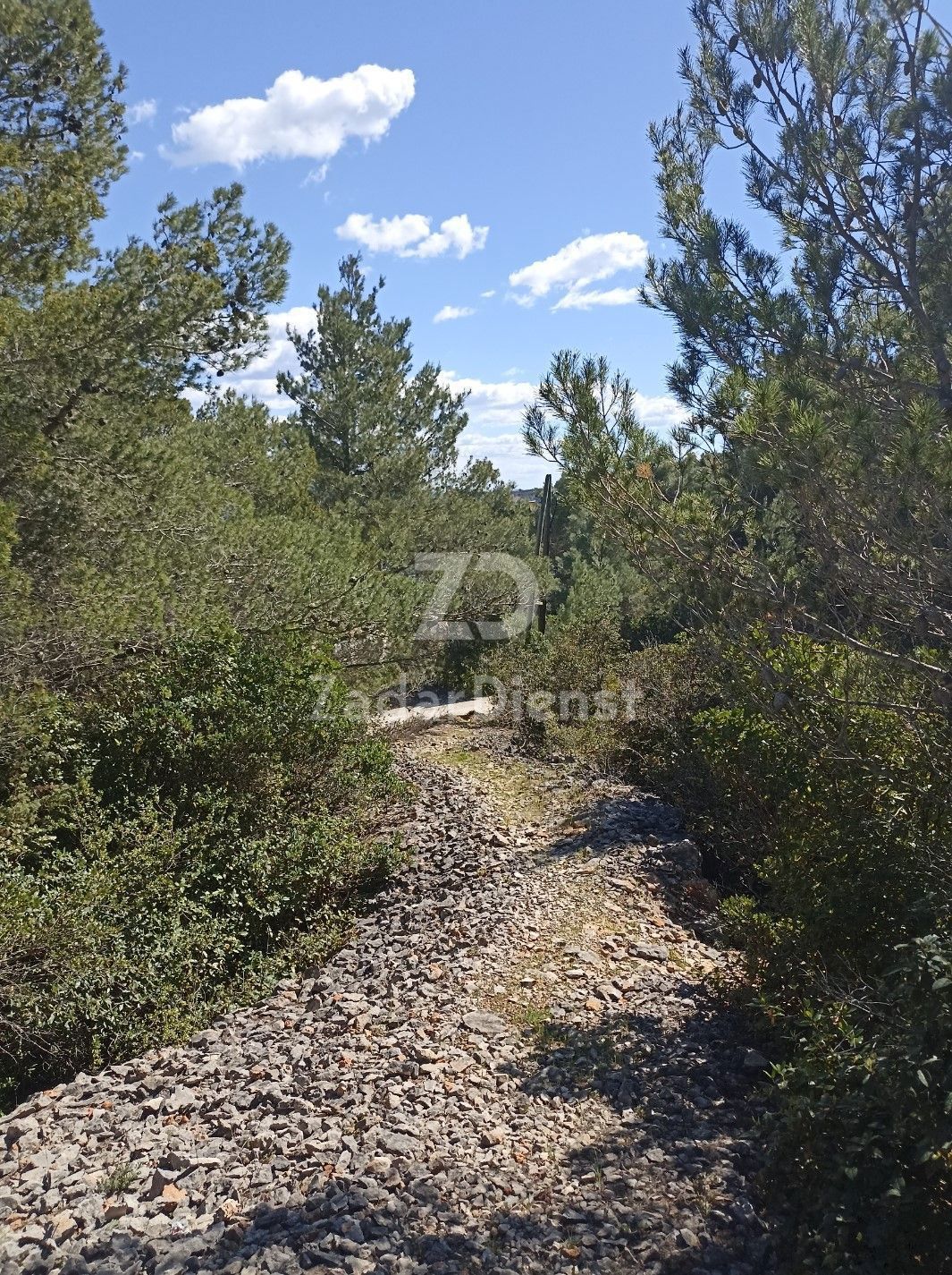 Terreno di 4451 m2, a 150 m dal mare - Mali Iž