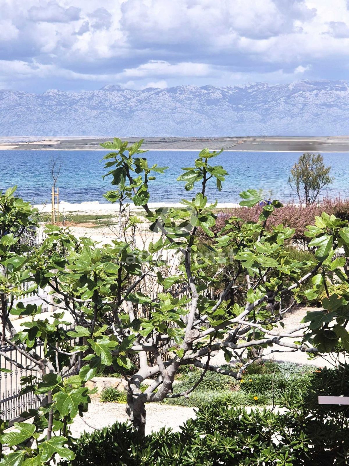 Casa con 3 unità abitative, seconda fila sul mare - Vir