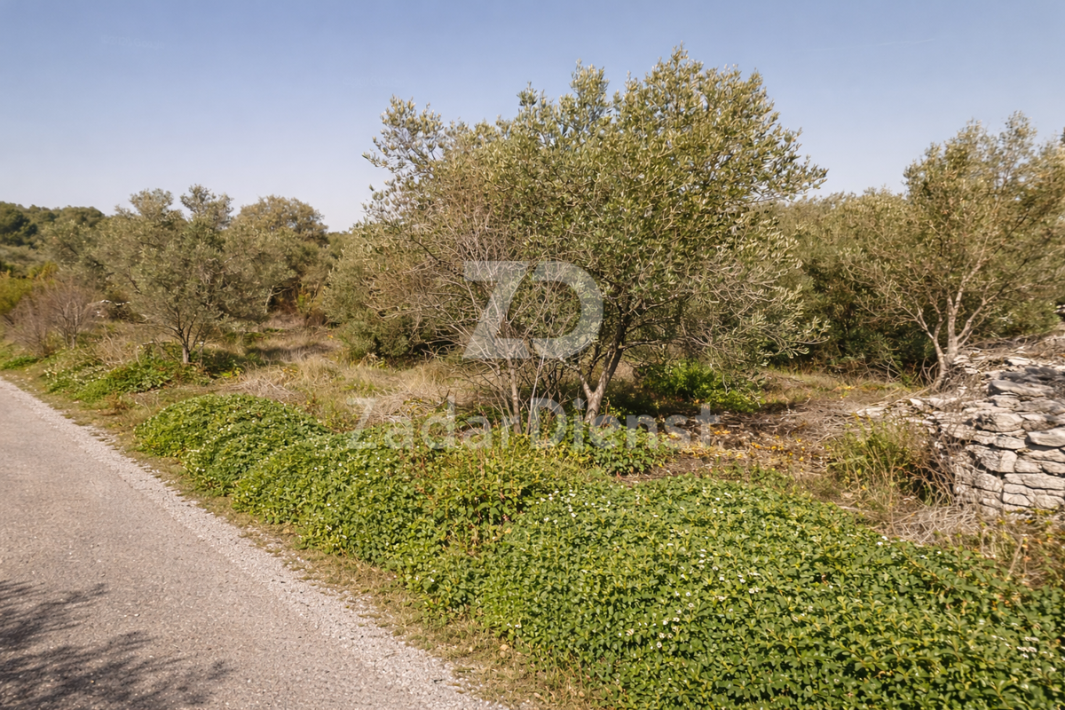 Terreno attraente a Dugi Otok, a 100 m dal mare