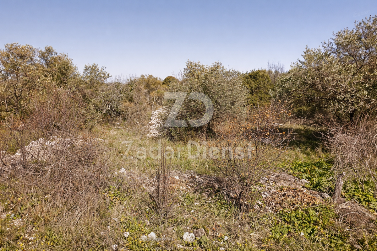 Terreno attraente a Dugi Otok, a 100 m dal mare