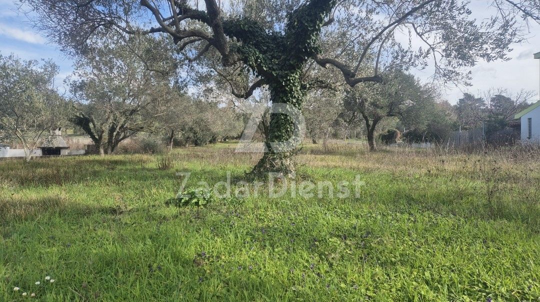 Terreno di 1602 m2 con vista mare a Kožino