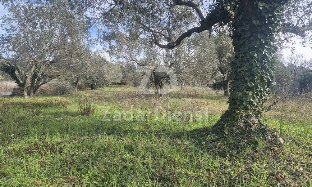 Terreno di 1602 m2 con vista mare a Kožino