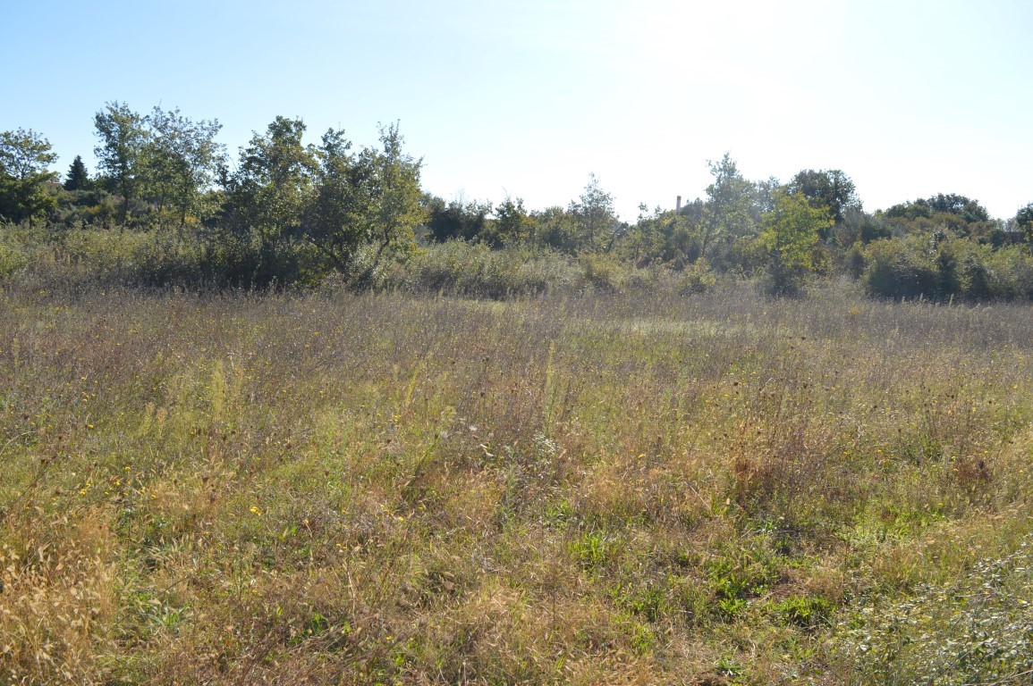 Terreno agricolo Peroj