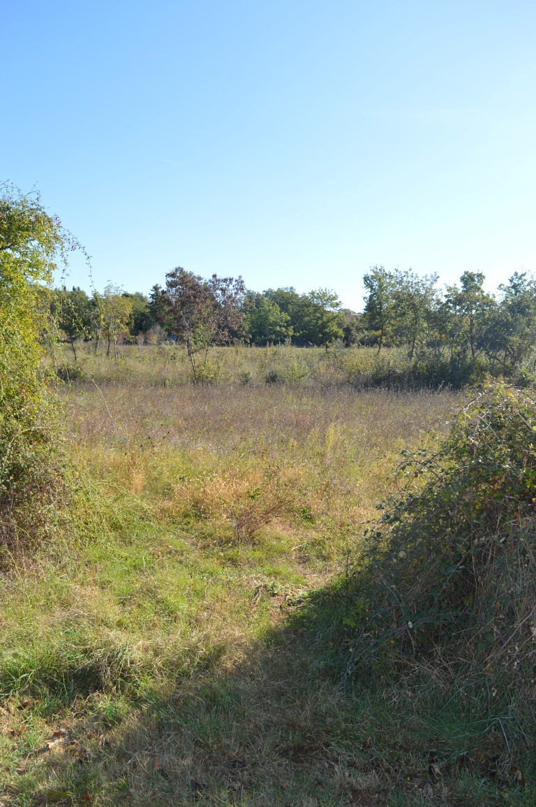 Terreno agricolo Peroj