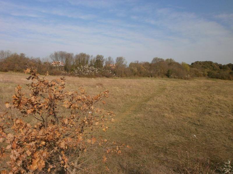 Grande terreno per la costruzione di una casa famigliare o la villa.