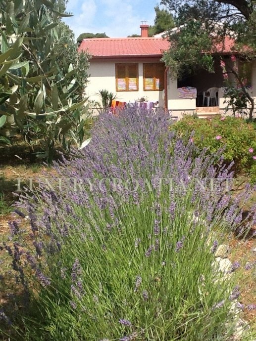 Casa sul mare in vendita, isola di Pasman