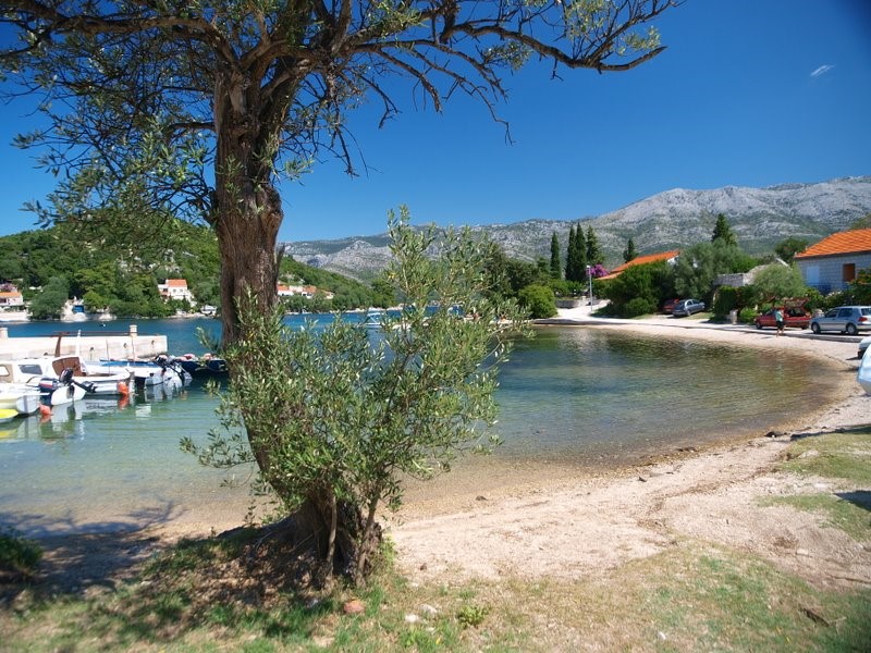 Terreno edificabile fronte mare in vendita a Korcula