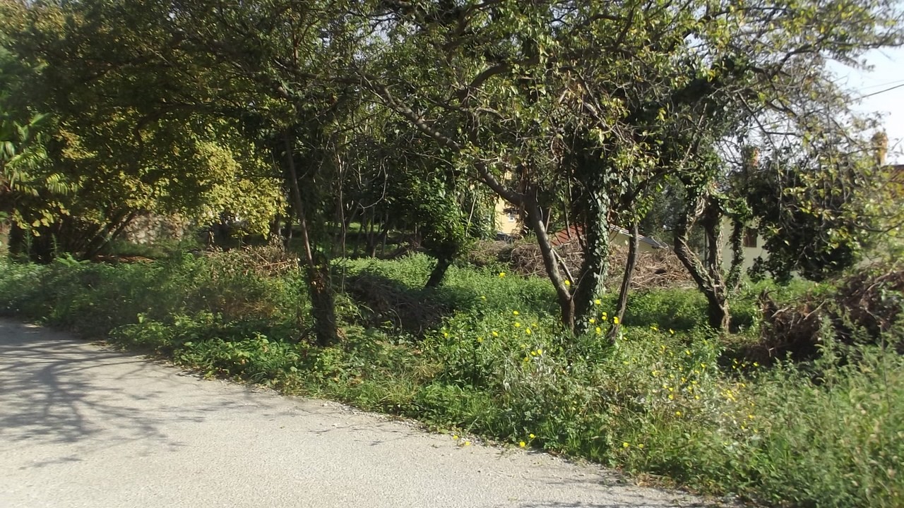 Terreno edificabile completamente piano per la costruzione di una casa di famiglia.